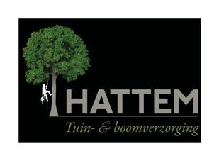 hattem